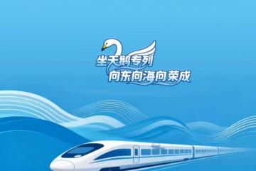 那香海天鹅湖天鹅已逾千只,湖边赏景,当一天童话里的“闲人”