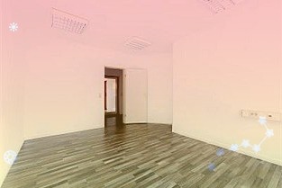 规划建设一批中国特色免税店培育智慧养老新业态